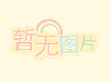 转发益阳市就业服务中心《关于推荐参加2025年全市职业技能师资培训班人选的通知》